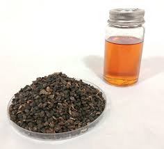 MW BSFL Oil – Black Soldier Fly Larvae Oil | Natural Palatant for Dogs and Fish