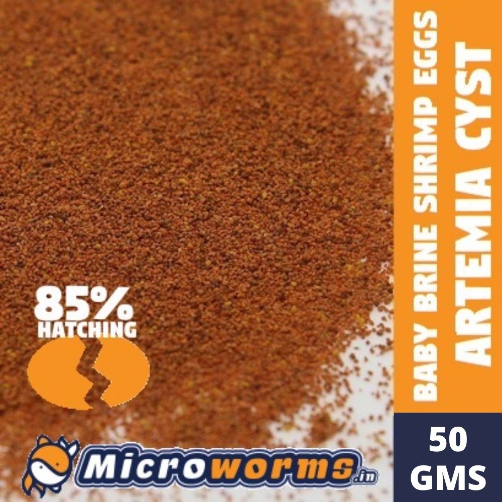 Indian Brine Shrimp Eggs (BBS)