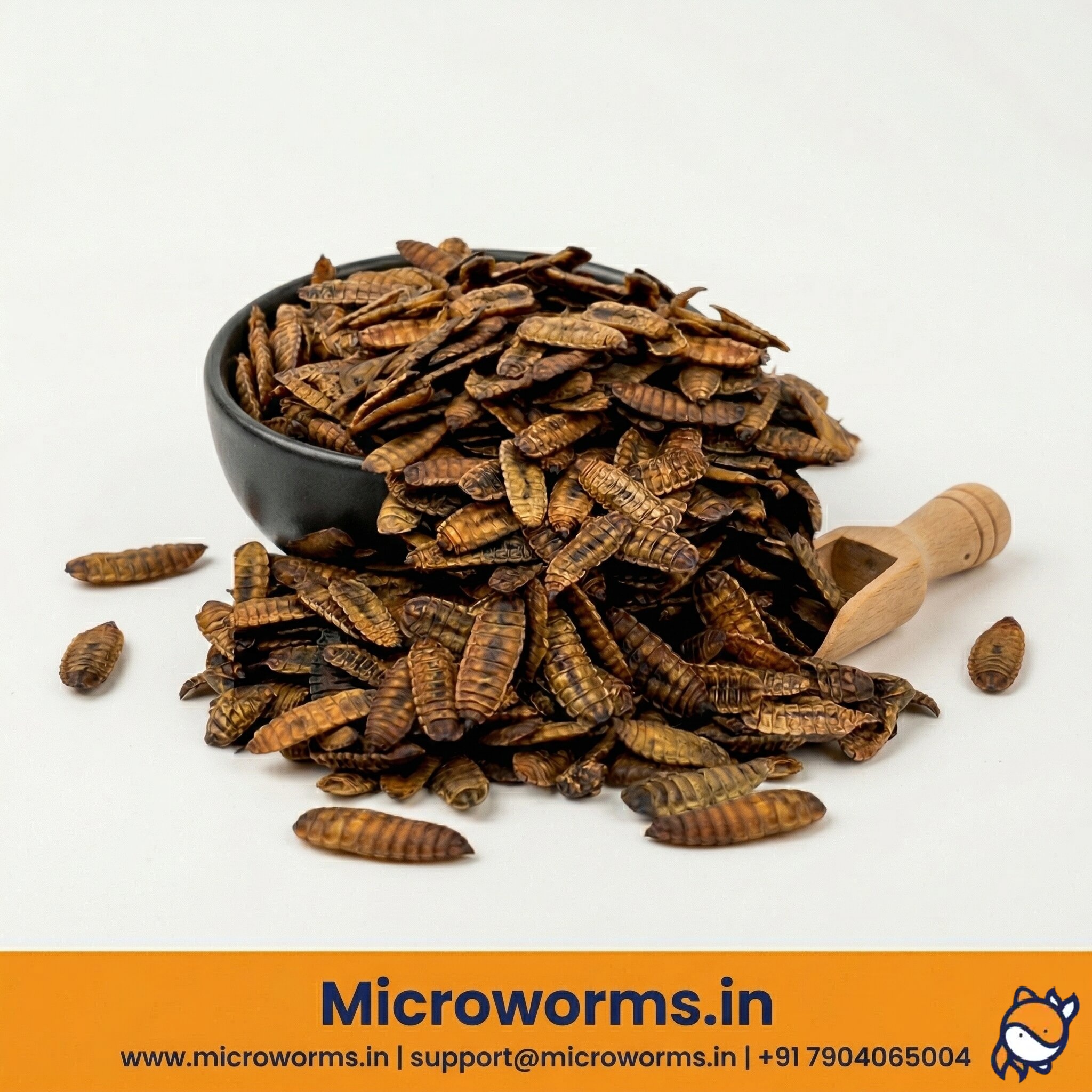 MW Whole Dried BSFL – Black Soldier Fly Larvae for Chickens Fish Reptiles Parrots