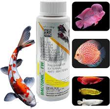 Bactonil Fish Medicine 120ml – Anti Bacterial Treatment for Aquarium Fish