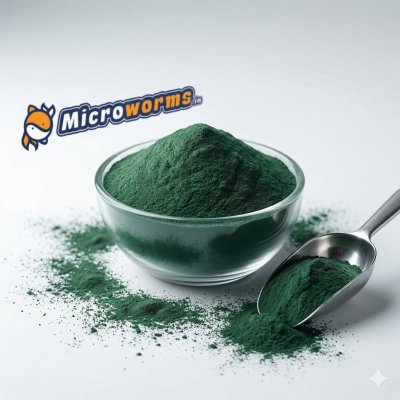 Spirulina Powder - Premium Aquarium Grade