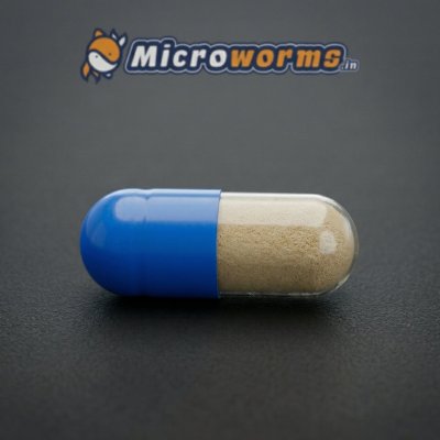 MW Live Moina Egg Capsules – Instant Freshwater Zooplankton Culture Starter