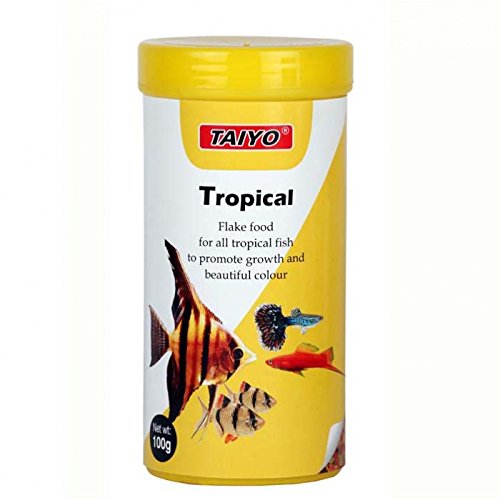 Tropical 2025 food fish