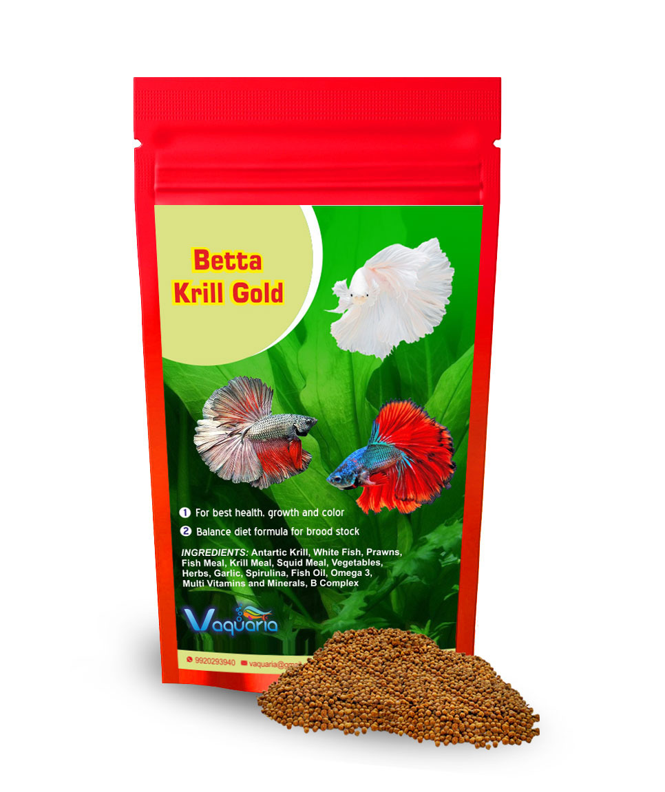 Garlic for betta fish best sale