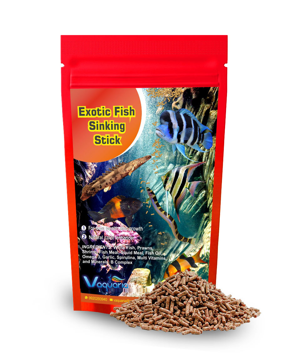 Exotic fish food hotsell