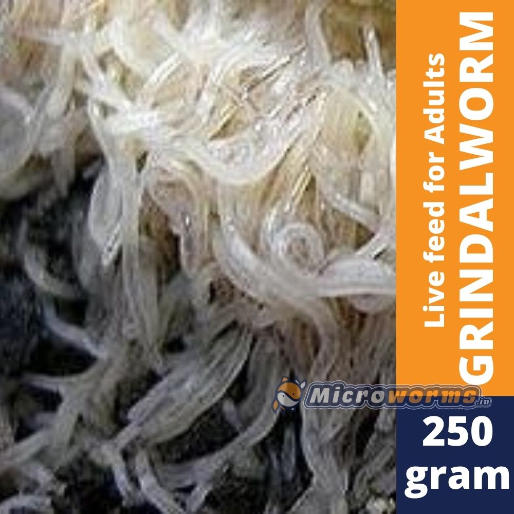 Microworms 2025 for sale