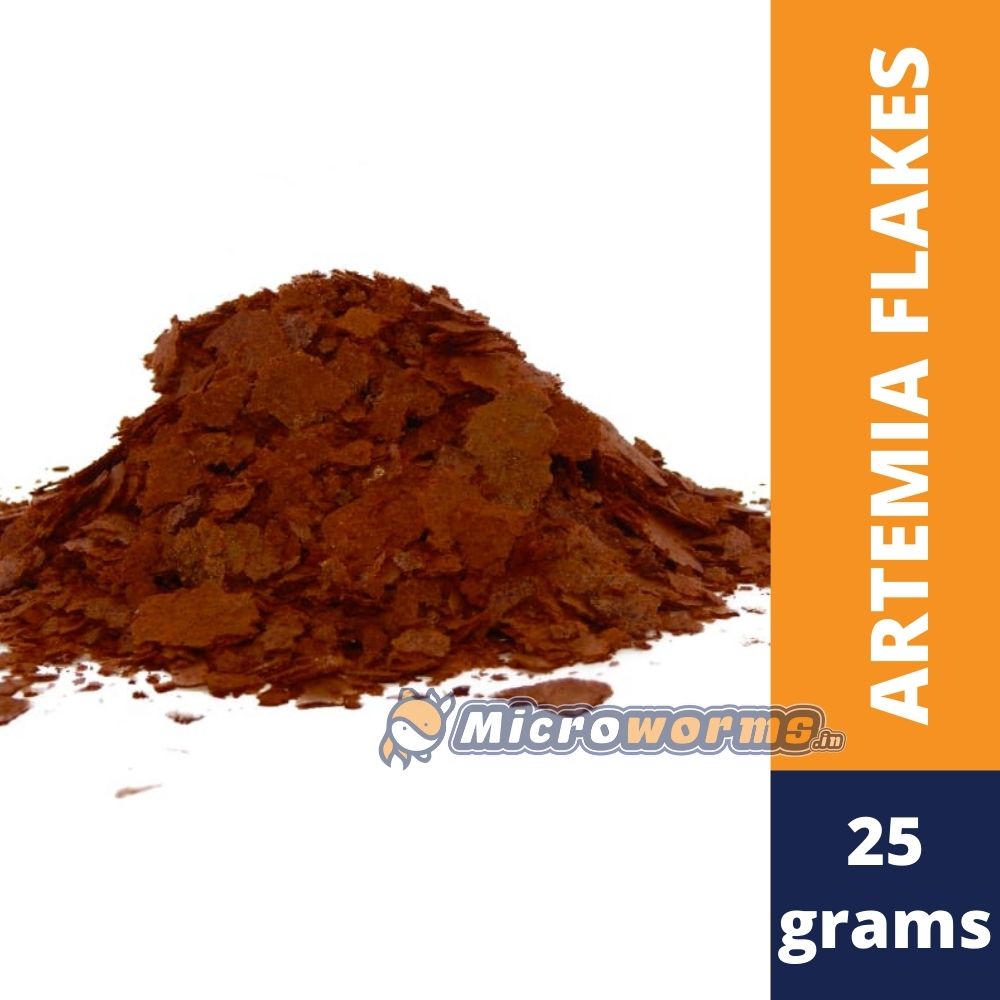 Artemia fish outlet feed