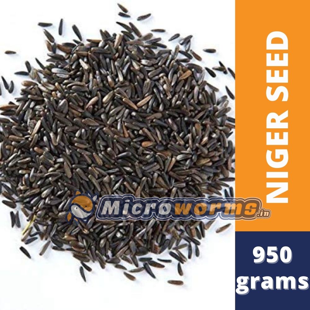 niger seed