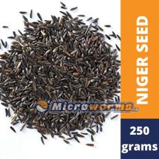 buy niger seeds